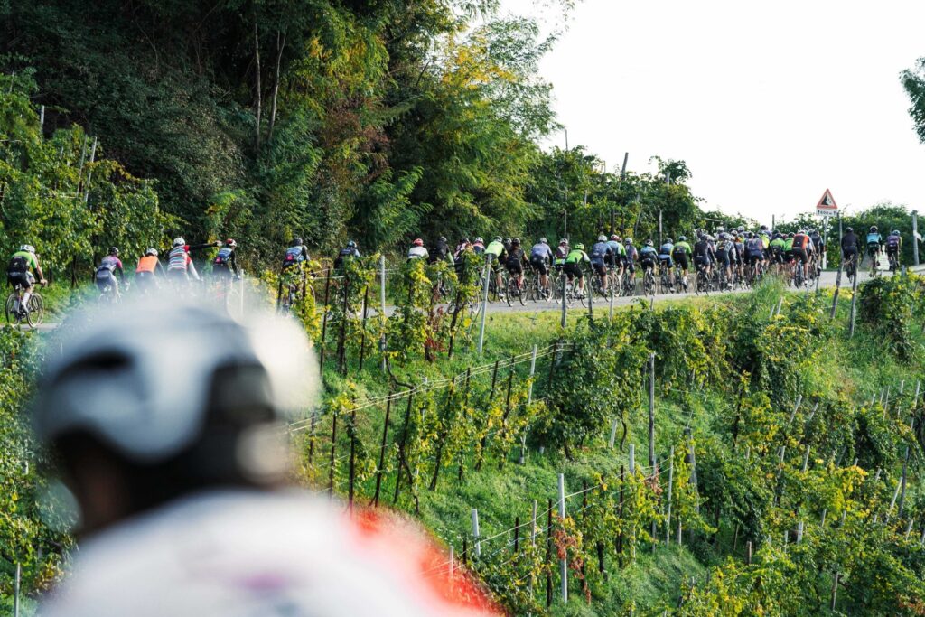 Prosecco Cycling